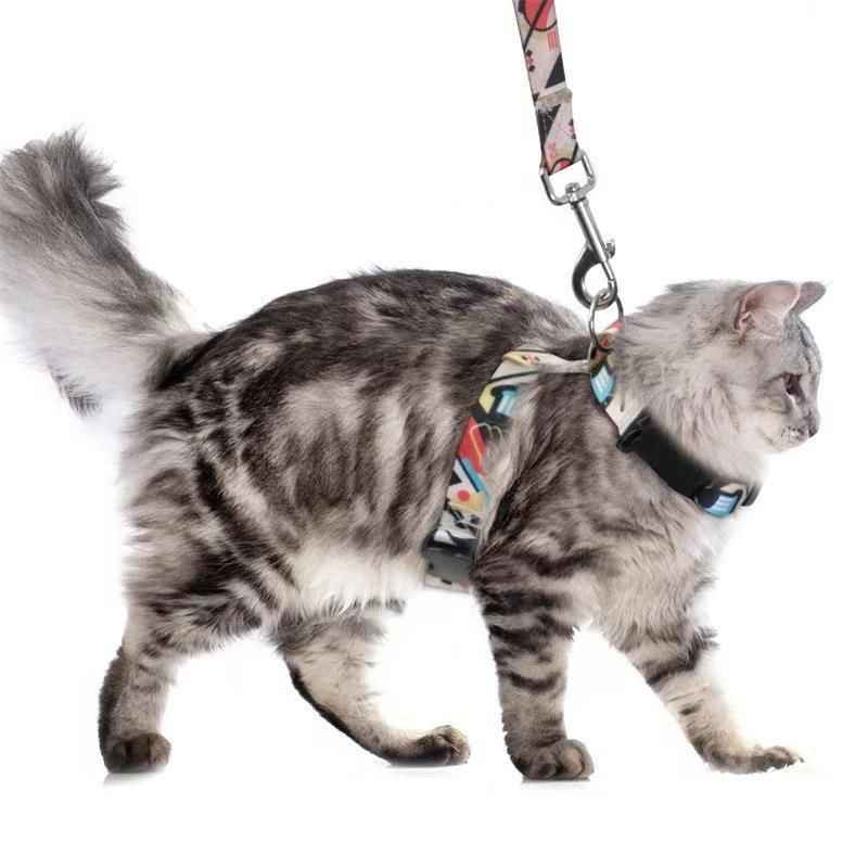 Adjustable Nylon Pet Harness Cat Dog Leash Black S