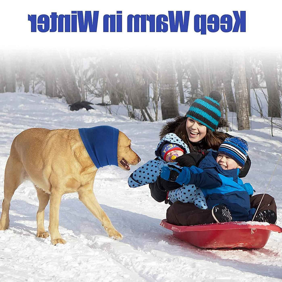 Pet Dog Ear Muffs Anti Noise Soft Winter Warm Blue Code S