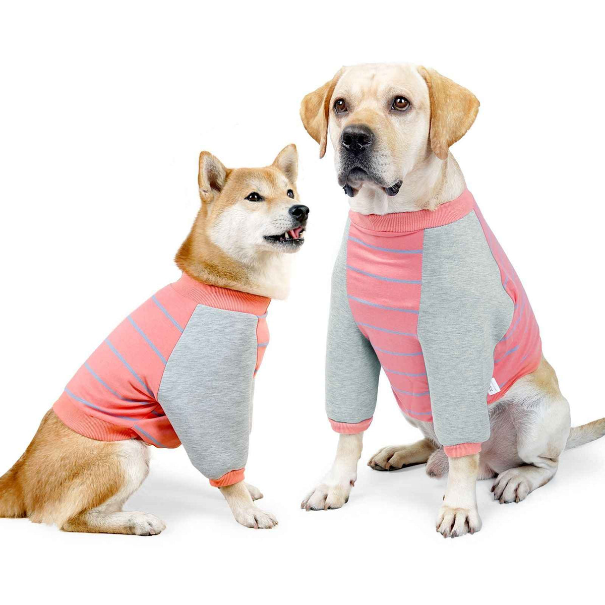 Cotton Dog Elbow Protection Clothing DOTON Family Black stripes S kg-12.50 kg