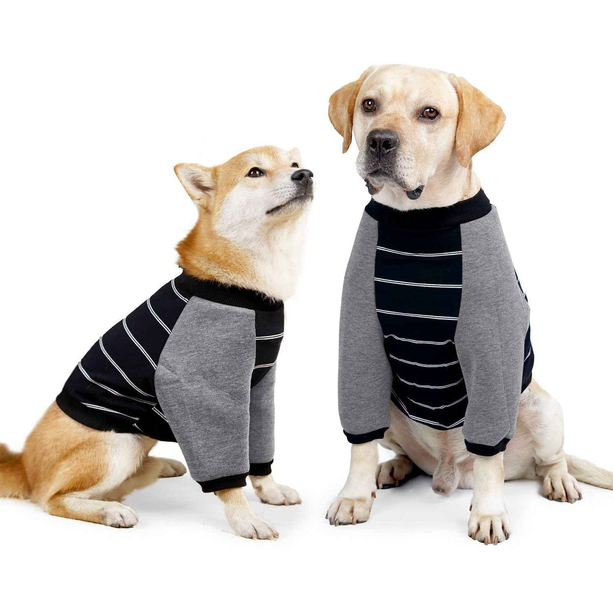 Cotton Dog Elbow Protection Clothing DOTON Family Black stripes XXL bust 72-86 neck circumference 38-52 recommended weight 29.00 kg-38.00 kg