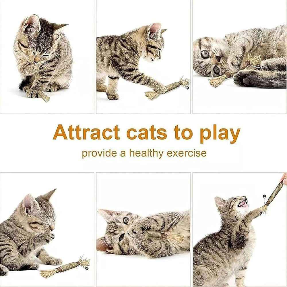 5PCS Natural Silvervine Dental Sticks for Cats, Cat Toys Interactive Kitten Teething Toys, Natural Chew Stick for Teeth Cleaning & Indoor Kitty Dental Care