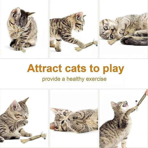 5PCS Natural Silvervine Dental Sticks for Cats, Cat Toys Interactive Kitten Teething Toys, Natural Chew Stick for Teeth Cleaning & Indoor Kitty Dental Care