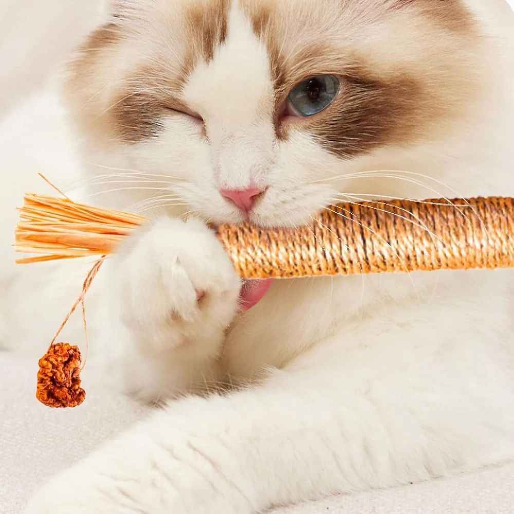 5PCS Natural Silvervine Dental Sticks for Cats, Cat Toys Interactive Kitten Teething Toys, Natural Chew Stick for Teeth Cleaning & Indoor Kitty Dental Care