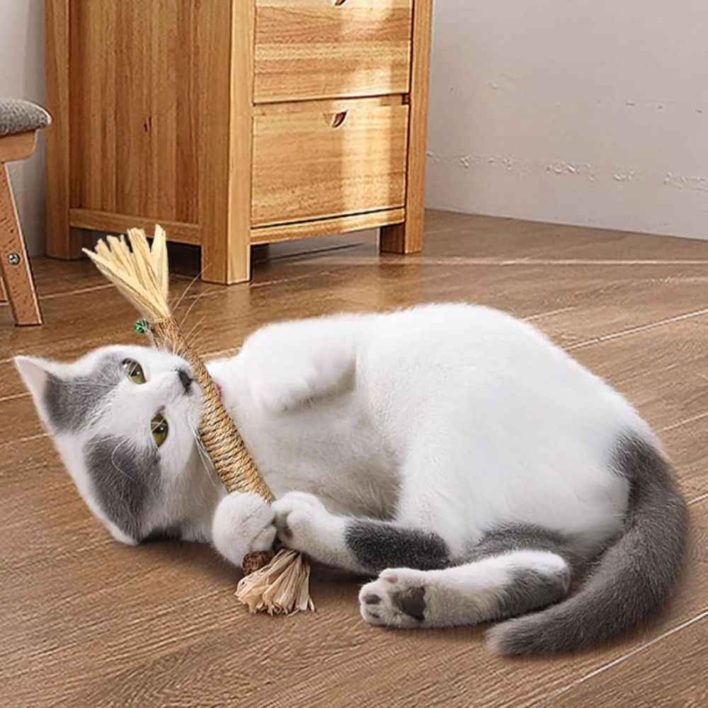 5PCS Natural Silvervine Dental Sticks for Cats, Cat Toys Interactive Kitten Teething Toys, Natural Chew Stick for Teeth Cleaning & Indoor Kitty Dental Care