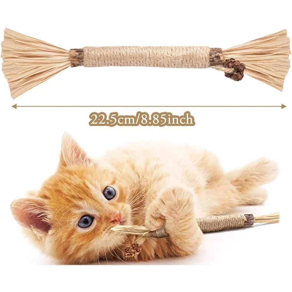 5PCS Natural Silvervine Dental Sticks for Cats, Cat Toys Interactive Kitten Teething Toys, Natural Chew Stick for Teeth Cleaning & Indoor Kitty Dental Care